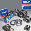 SKF  Bearings Distributor #2 small image
